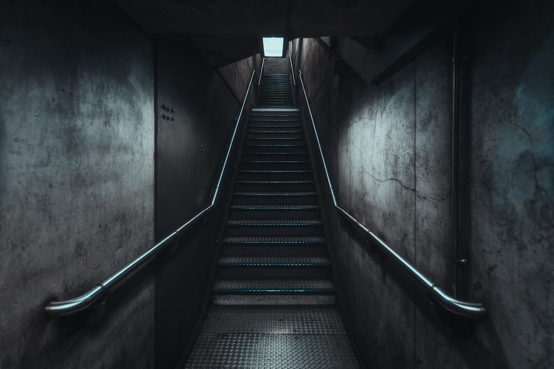 以“礼”为魂，在《南孔》中照见立身的刻度